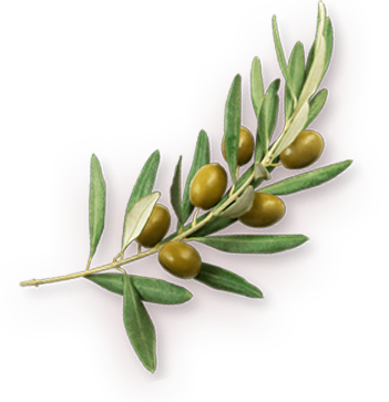 Yeşil Zeytin Salatası