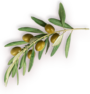 Yeşil Zeytin Salatası